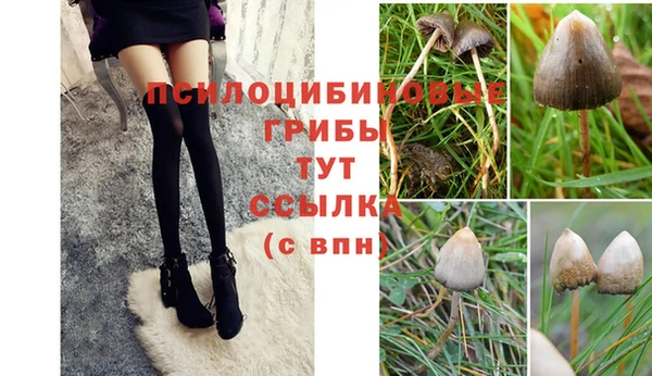 2c-b Богородск