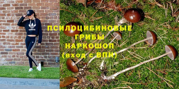 герыч Богородицк